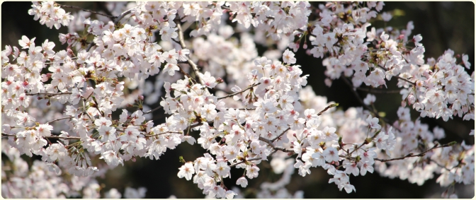 レクリエーションの様子