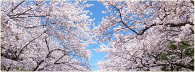 レクリエーションの様子