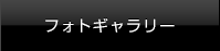 フォトギャラリー